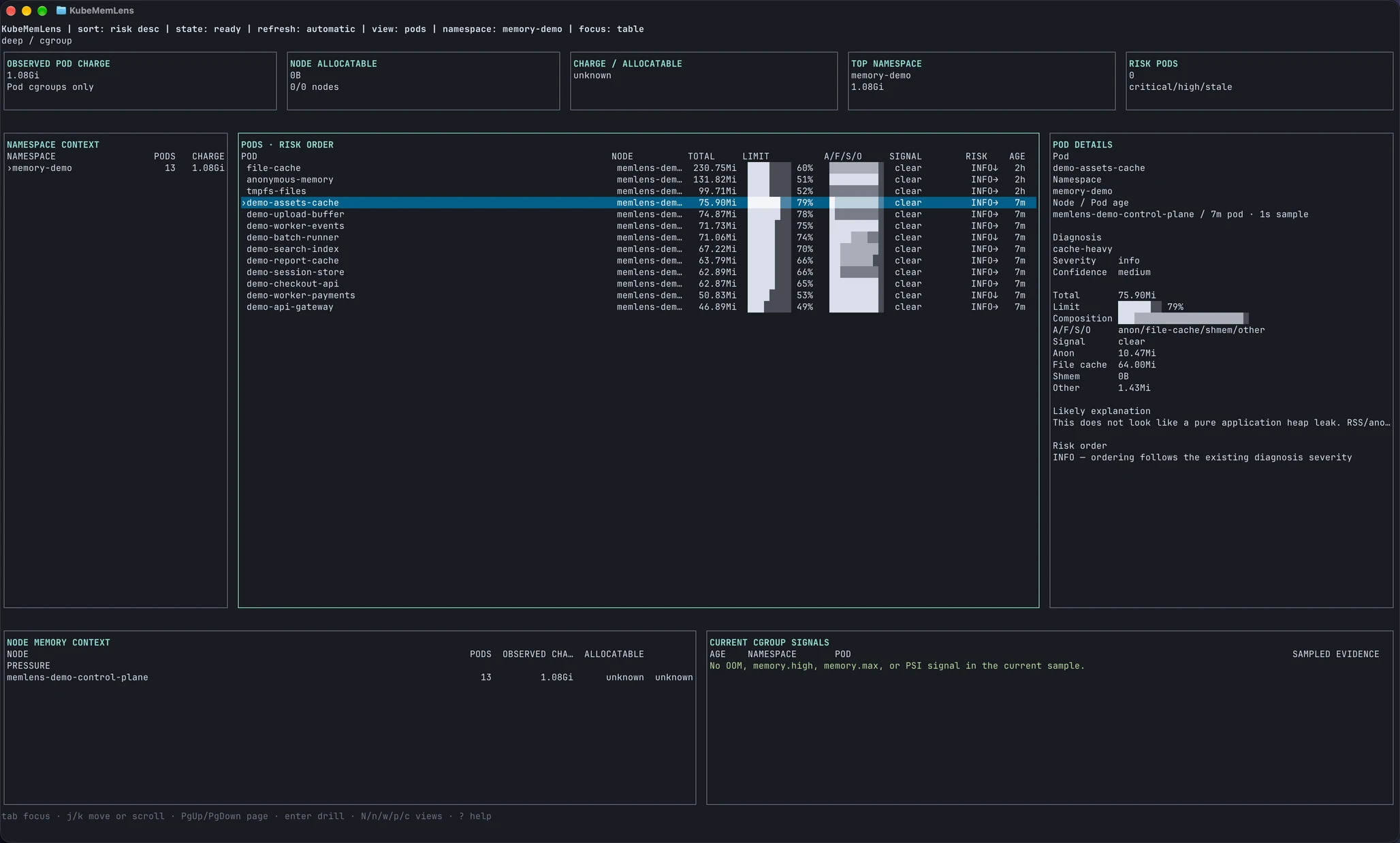 Local demo showing 13 Pods, memory composition, limits and the selected Pod’s details